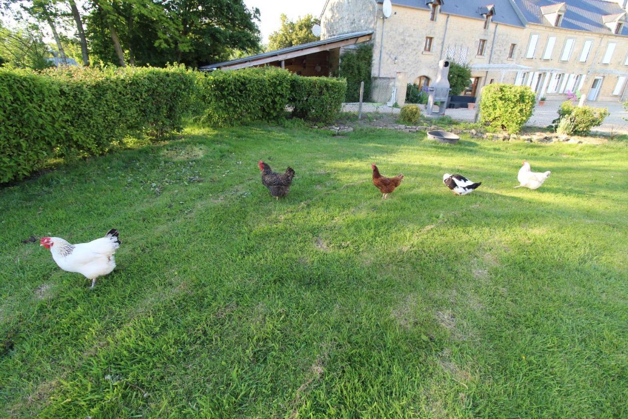 Formigny La Ferme Aux Chats מראה חיצוני תמונה